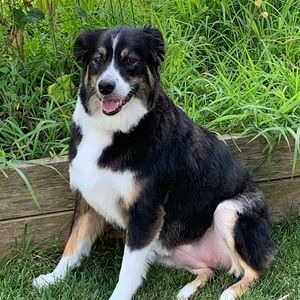 Meet your Posher, Angie